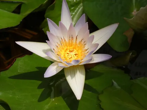 快速更新
